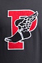Свитшот Polo Ralph Lauren Stadium Logo P Wing