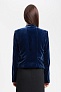 Жакет BCBGMAXAZRIA Lloyd Velvet Asymmetrical Jacket